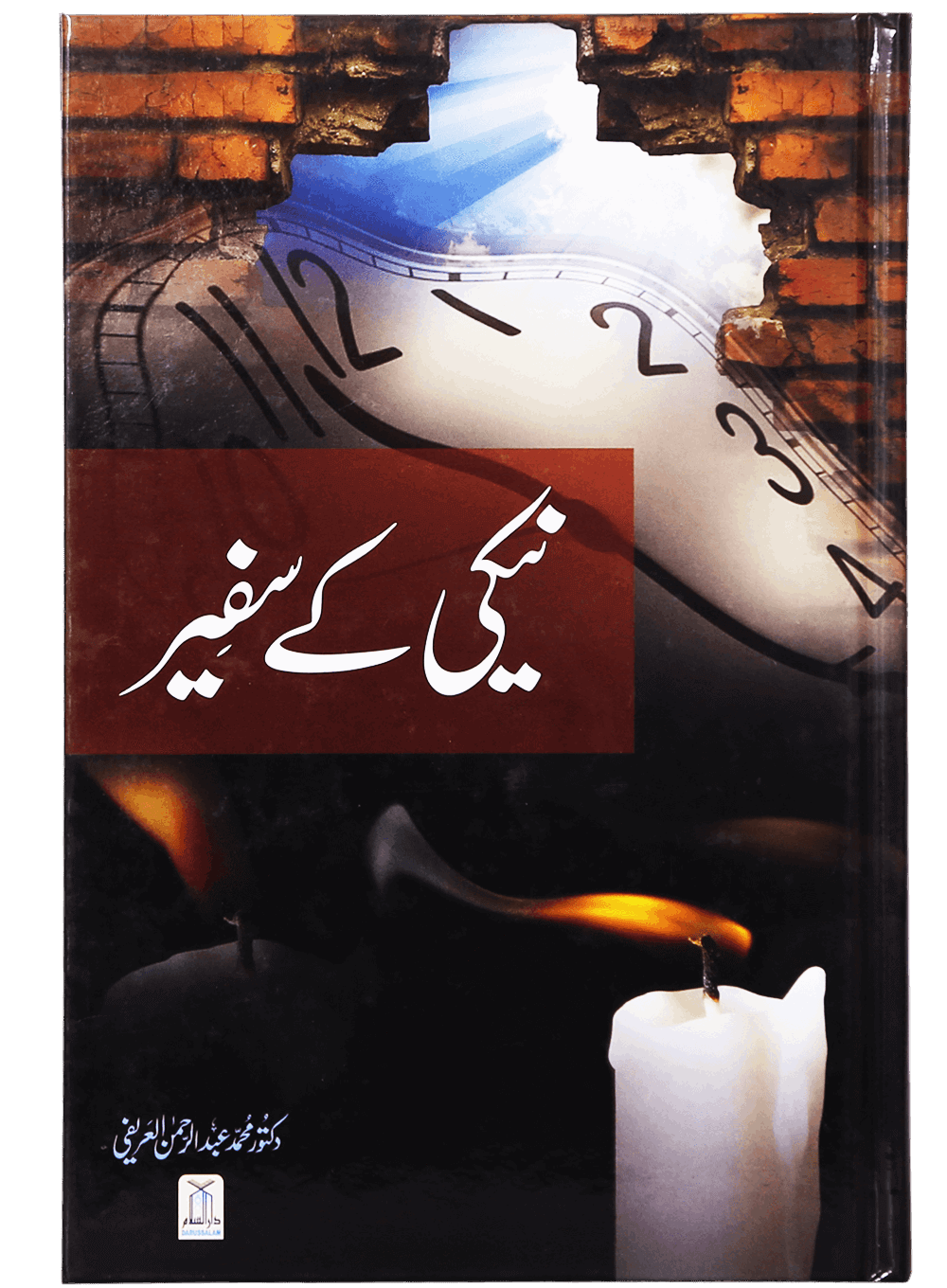 Naiki Kai Safeer نیکی کے سفیر