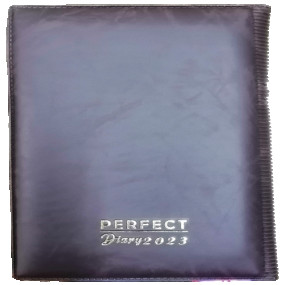 Lazy-loaded Diary 2023 (Large - Gift Diary)