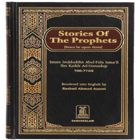 Lazy-loaded Stories of the Prophets (PBUH) - Local